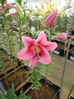 [4558 VH34 No01.JPG]